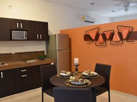Studio Apartment for rent in Cozumel, Quintana Roo, Cozumel, Quintana Roo