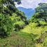  Land for sale in Girardota, Antioquia, Girardota