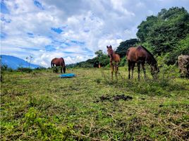  Terreno (Parcela) en venta en Girardota, Antioquia, Girardota