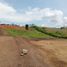  Land for sale in Risaralda, Caldas, Risaralda, Caldas