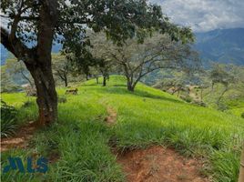  Land for sale in San Jeronimo, Antioquia, San Jeronimo