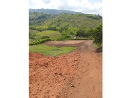  Terrain for sale in Caldas, Risaralda, Caldas