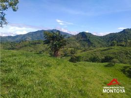 Estudio Villa en venta en Colombia, Marsella, Risaralda, Colombia