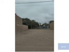  Terreno (Parcela) en venta en Chincha, Ica, Chincha Alta, Chincha