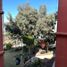 3 Schlafzimmer Wohnung zu verkaufen in Tijuana, Baja California, Tijuana, Baja California