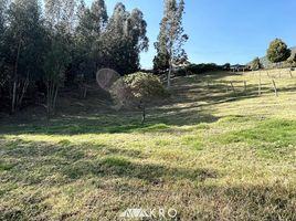  Land for sale in Zipaquira, Cundinamarca, Zipaquira