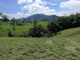  Terreno (Parcela) en venta en Pereira, Risaralda, Pereira