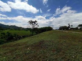  Terreno (Parcela) en venta en Pereira, Risaralda, Pereira