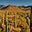  Grundstück zu verkaufen in La Paz, Baja California Sur, La Paz