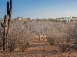  Terrain for sale in Baja California Sur, La Paz, Baja California Sur