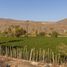  Terrain for sale in Baja California Sur, La Paz, Baja California Sur