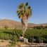  Terrain for sale in Baja California Sur, La Paz, Baja California Sur