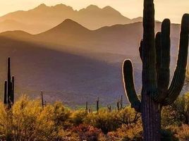 Terreno (Parcela) en venta en La Paz, Baja California Sur, La Paz, Baja California Sur