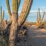  Terreno (Parcela) en venta en La Paz, Baja California Sur, La Paz, Baja California Sur