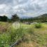  Land for sale in Manizales, Caldas, Manizales