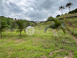  Land for sale in Manizales, Caldas, Manizales