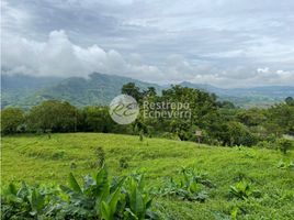  Land for sale in Manizales, Caldas, Manizales