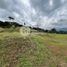  Land for sale in Manizales, Caldas, Manizales