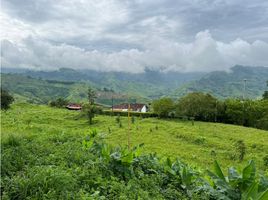  Terreno (Parcela) en venta en Manizales, Caldas, Manizales