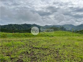  Terreno (Parcela) en venta en Manizales, Caldas, Manizales