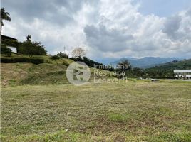  Terreno (Parcela) en venta en Manizales, Caldas, Manizales