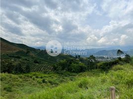  Terreno (Parcela) en venta en Manizales, Caldas, Manizales