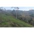  Land for sale in Concepcion, Antioquia, Concepcion