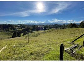  Terreno (Parcela) en venta en Guarne, Antioquia, Guarne