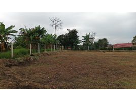  Land for sale in Totoro, Cauca, Totoro