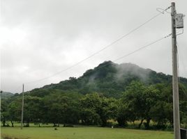  Grundstück zu verkaufen in Capira, Panama Oeste, Cermeno, Capira