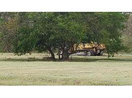  Grundstück zu verkaufen in Capira, Panama Oeste, Cermeno, Capira