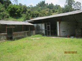  Land for rent in Pensilvania, Caldas, Pensilvania