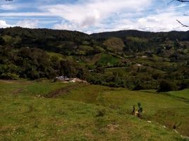  Terreno for sale in Amajari, Roraima, Amajari, Amajari