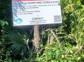  Grundstück zu verkaufen in Cozumel, Quintana Roo, Cozumel