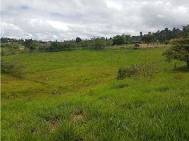 Estudio Villa en venta en Renacimiento, Chiriquí, Monte Lirio, Renacimiento