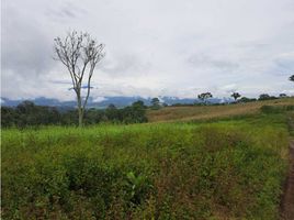 Estudio Casa en venta en Renacimiento, Chiriquí, Cañas Gordas, Renacimiento