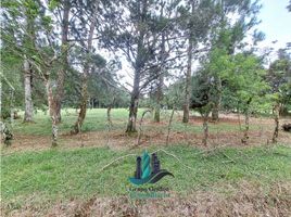  Terrain for sale in Dolega, Chiriqui, Potrerillos Abajo, Dolega