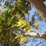  Land for sale in General Cepeda, Coahuila, General Cepeda