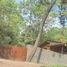  Land for sale in Mazamitla, Jalisco, Mazamitla