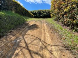  Terreno (Parcela) en venta en La Ceja, Antioquia, La Ceja