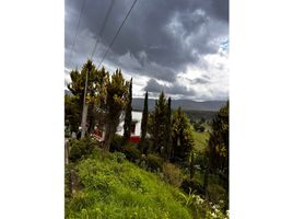  Grundstück zu verkaufen in Donato Guerra, Mexico, Donato Guerra
