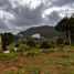  Land for sale in Donato Guerra, Mexico, Donato Guerra