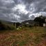 Land for sale in Donato Guerra, Mexico, Donato Guerra