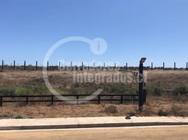  Land for sale in Navidad, Cardenal Caro, Navidad