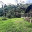  Grundstück zu verkaufen in Santa Rosa De Cabal, Risaralda, Santa Rosa De Cabal