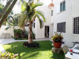 1 Schlafzimmer Appartement zu vermieten in Playa del Carmen, Cozumel, Cozumel