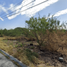  Land for sale in Apodaca, Nuevo Leon, Apodaca