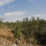  Land for sale in Apodaca, Nuevo Leon, Apodaca