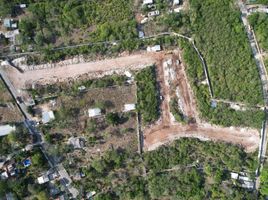  Grundstück zu verkaufen in Chicxulub Pueblo, Yucatan, Chicxulub Pueblo