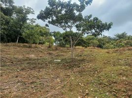  Terreno (Parcela) en venta en La Cumbre, Valle Del Cauca, La Cumbre